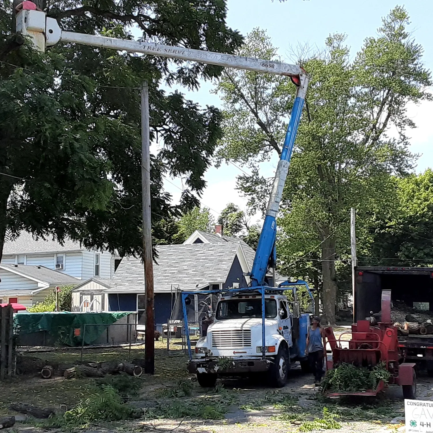 Bucket truck and wood chipper working on a tree on a residential street