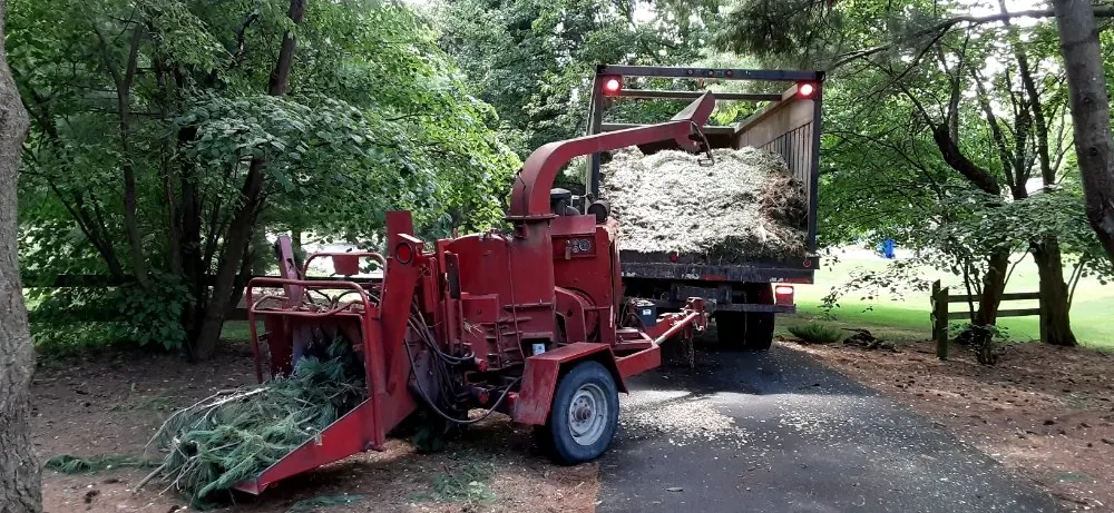 Red wood chipper hitched to a chip truck on a driveway